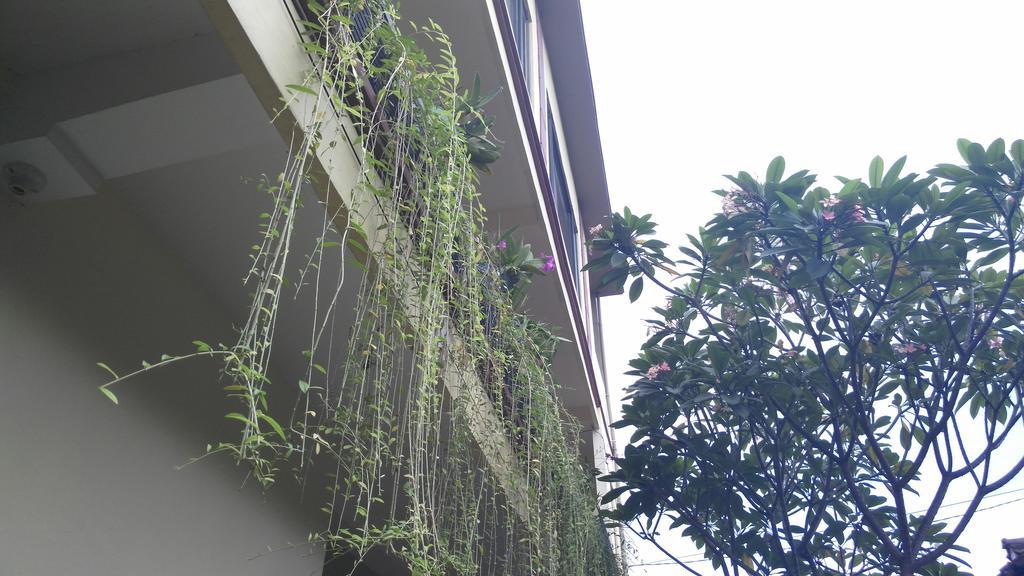 Nyoman Badri Homestay Ubud Esterno foto