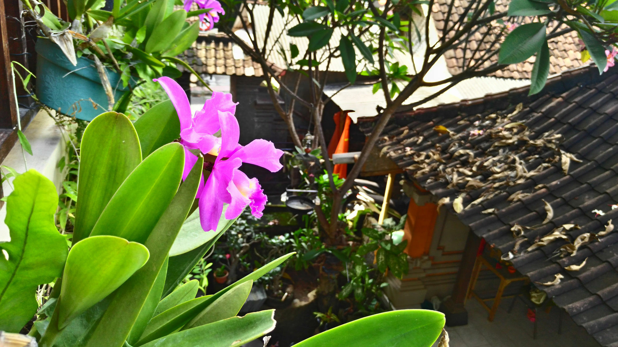 Nyoman Badri Homestay Ubud Esterno foto